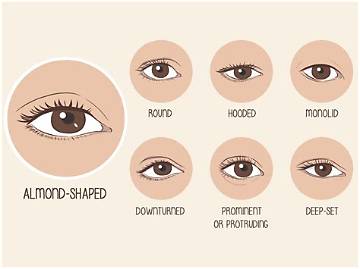 Blake Lively's Mesmerizing Almond-Shaped Eyes: a Guide to Her Eye Shape