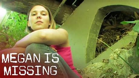 Megan Is Missing Images: an in-Depth Exploration
