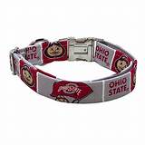 Ohio State University Dog Clothes: Show Your Buckeye Spirit in Style