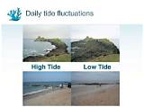 Ultimate Guide to High Tide at Pacific Beach: Experience the Ocean's Peak
